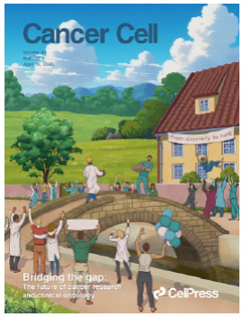 Pan-Cancer Human Brain metastases Atlas at singlecell resolution